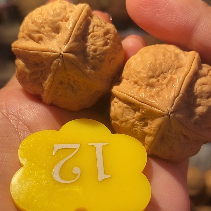 21号链接四棱萌萌包36尺寸