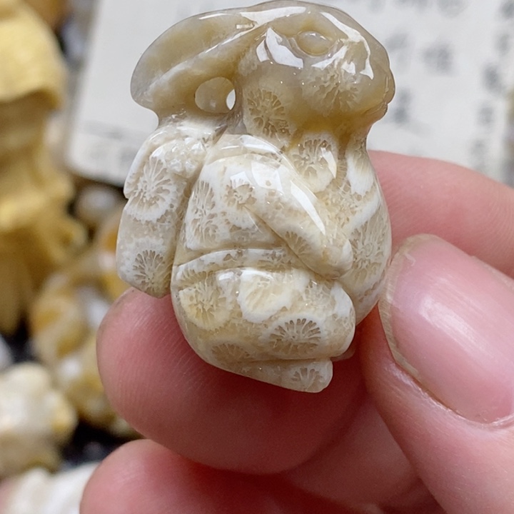 颈饰未镶嵌硅化珊瑚（珊瑚玉）