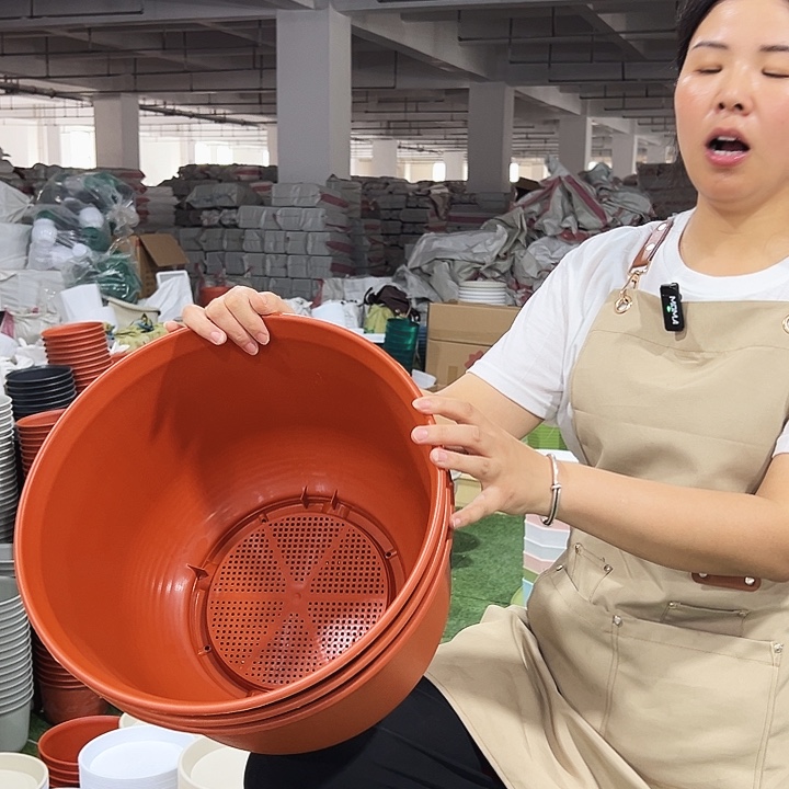 矮陶正品口36高24陶红无托3只