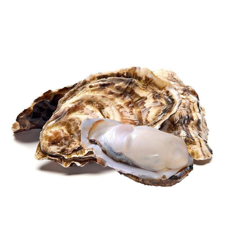 福利生蚝一个（规格2+）