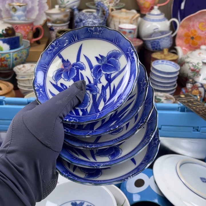 碟开播了开播了开播了