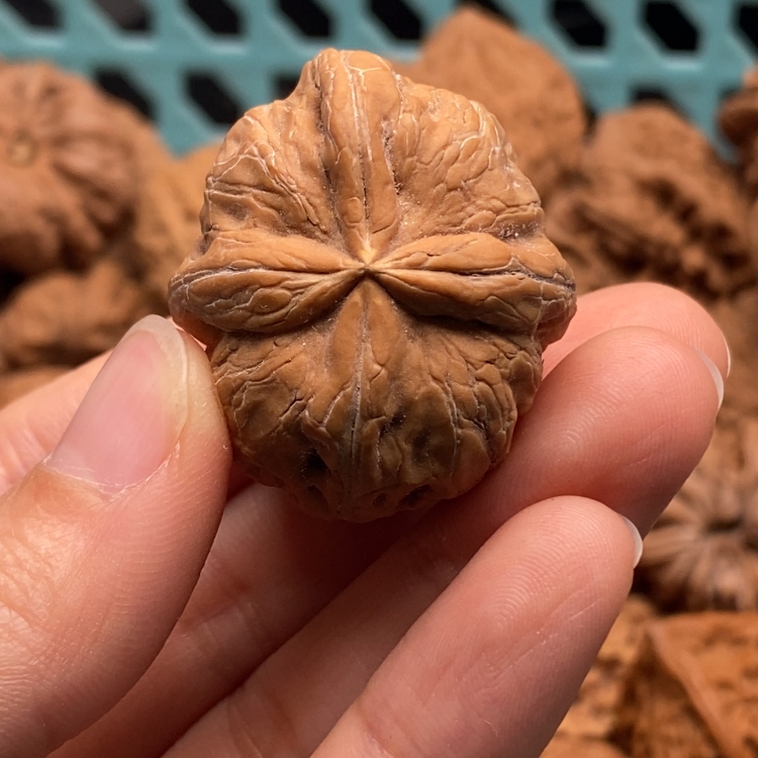 熬***狗核桃定制商品不退不换