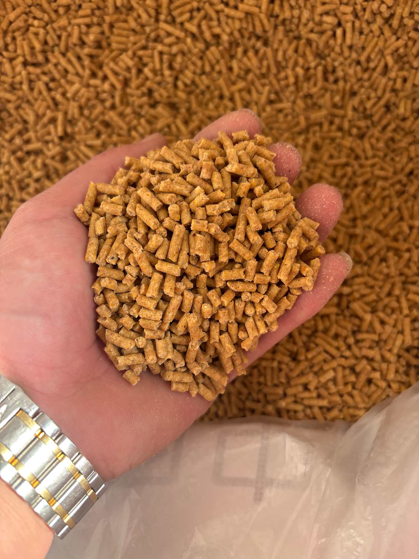 鸡媒饲料七彩山鸡饲料宠物鸡饲料宠物鸟饲料七彩小鸡饲料训媒饲料