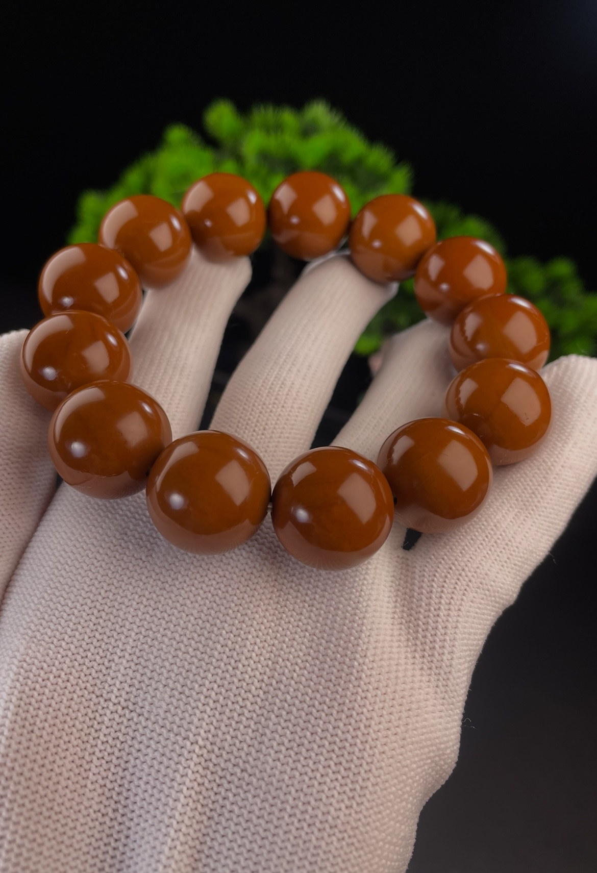 1.7精品树王橄榄核爆红铁核毕业三无同轴无补无漏无老眼