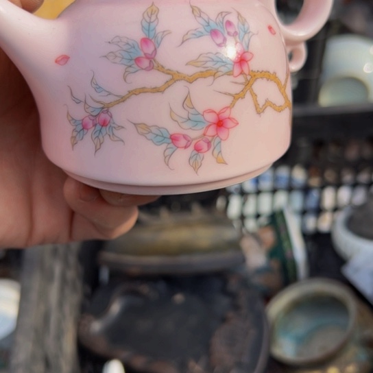 行***侠核桃木/黑胡桃（胡桃木）