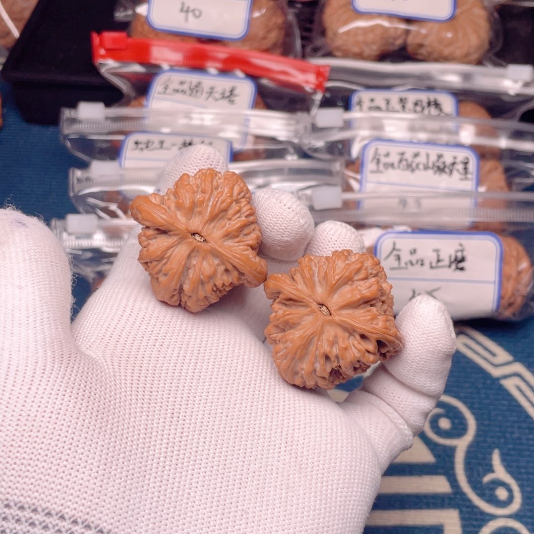 你*41全品虎头王！！！！！！！！