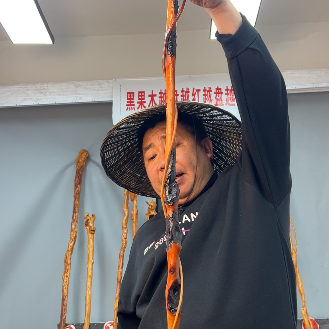 黑果木其他黑果木702