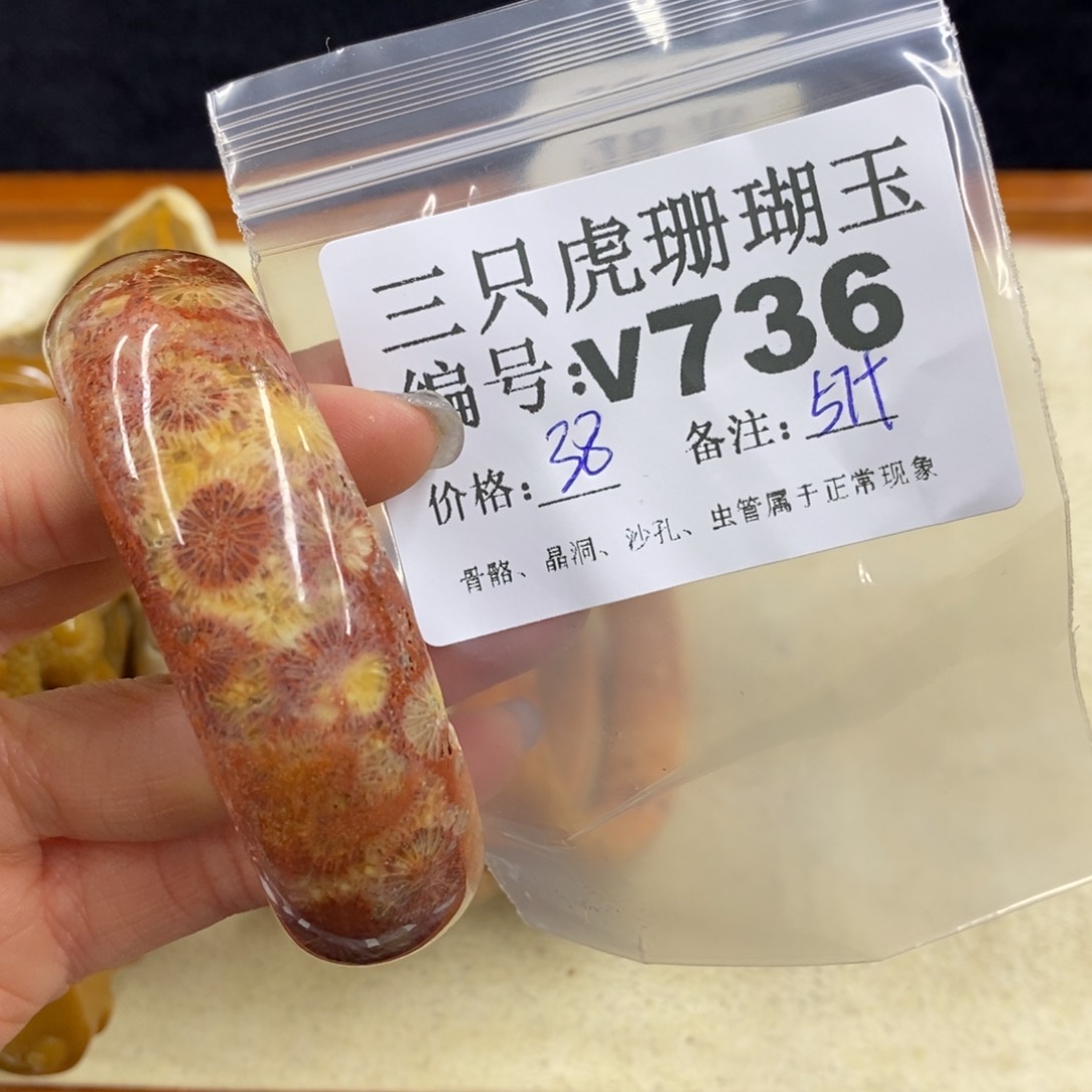 硅化珊瑚（珊瑚玉）未镶嵌1傲*