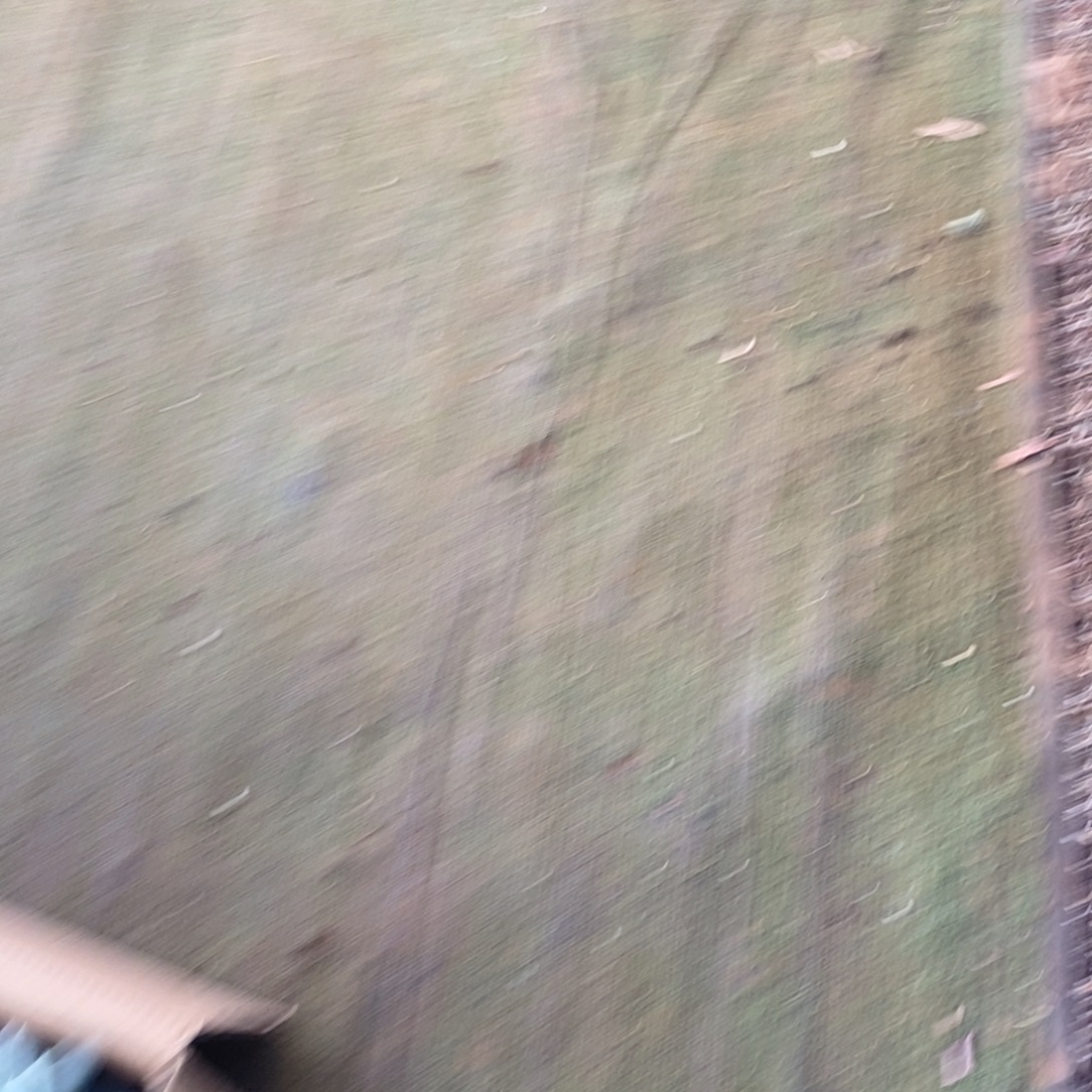 猛***喵美人系多肉植物的话