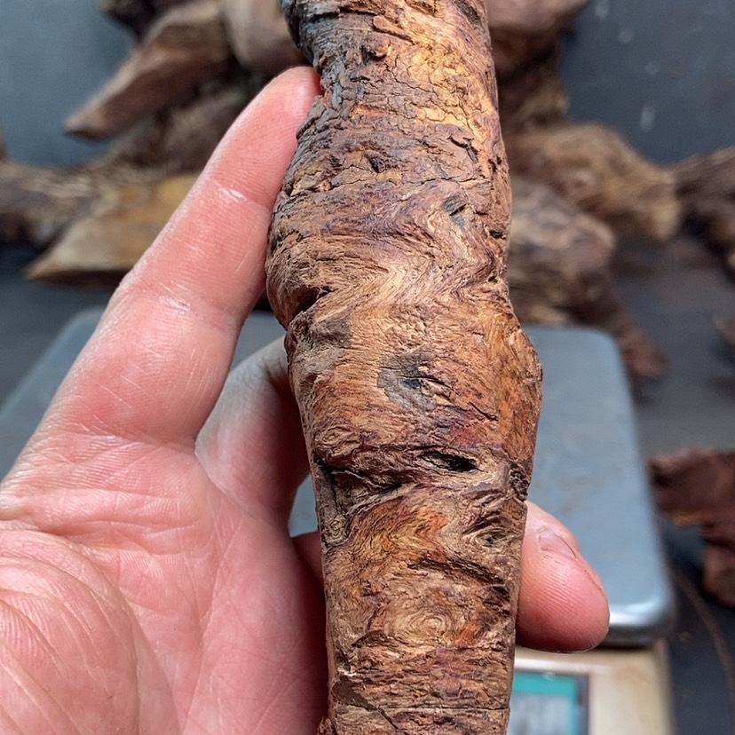 【闪购商品】黄花梨/降香黄檀r*g黄花梨