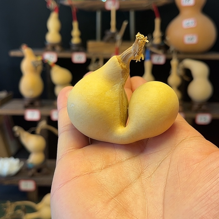 ①****开开开开开开开开开开开