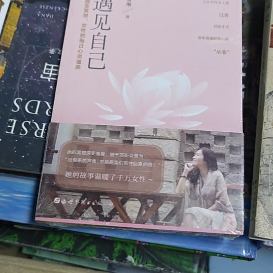 遇见自己平装库存书塑封小微瑕