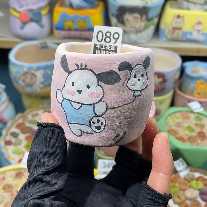 大舅生石花肉锥多肉089