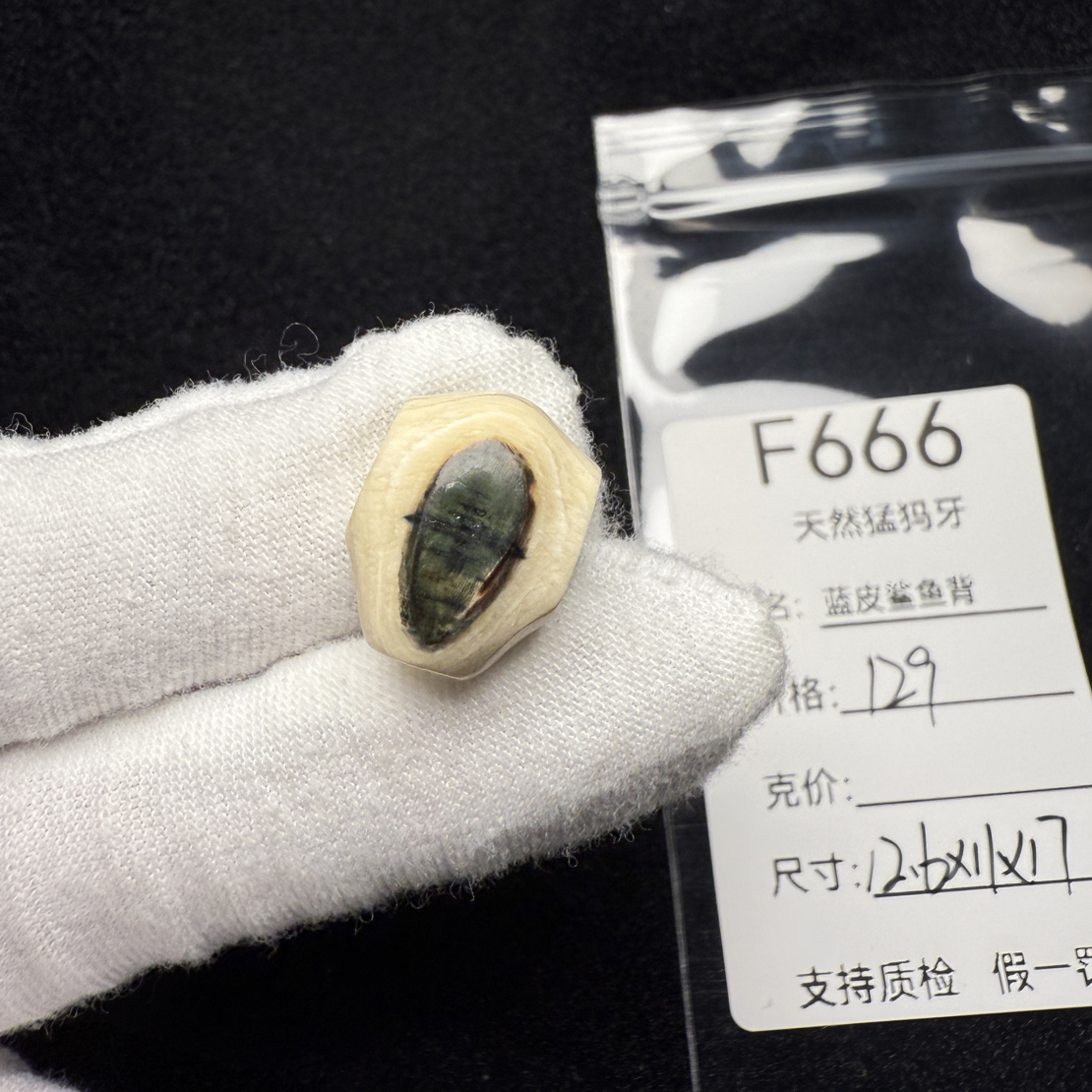 F666天然猛犸象牙蓝眼蓝皮鲨鱼背蓝眼睛三通冰料12.6*11*17mm