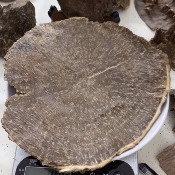 沉香沉香木制品海南沉香铁头49.8