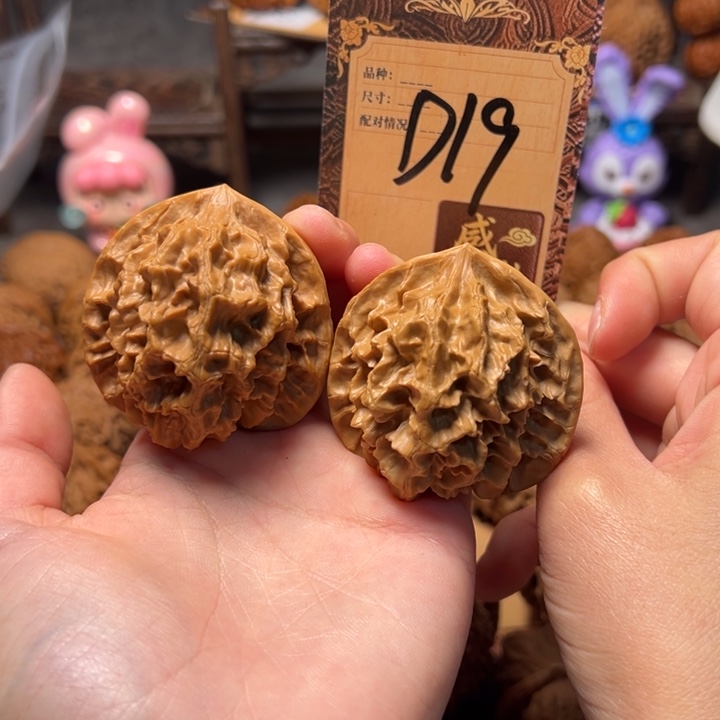 核桃D19。          