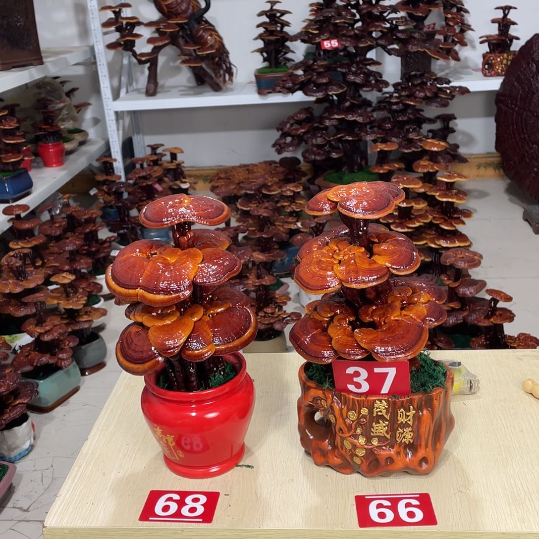 悦***号无花朵88888888888888888888