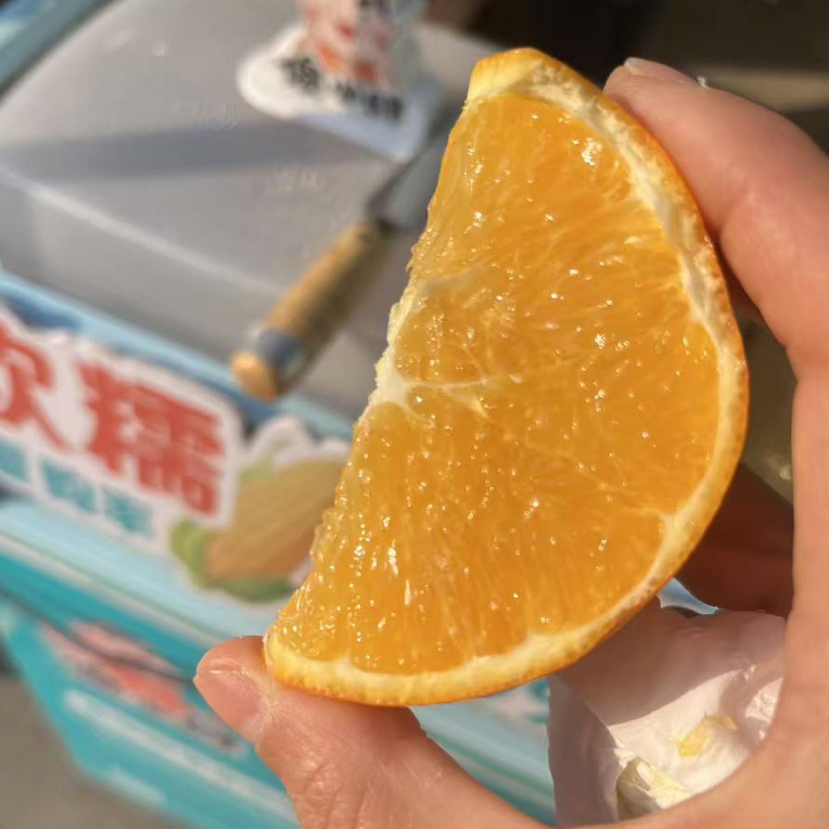 纽荷尔脐橙8斤一箱