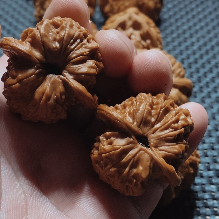 核桃手串/手链用****w文玩核桃血麒麟