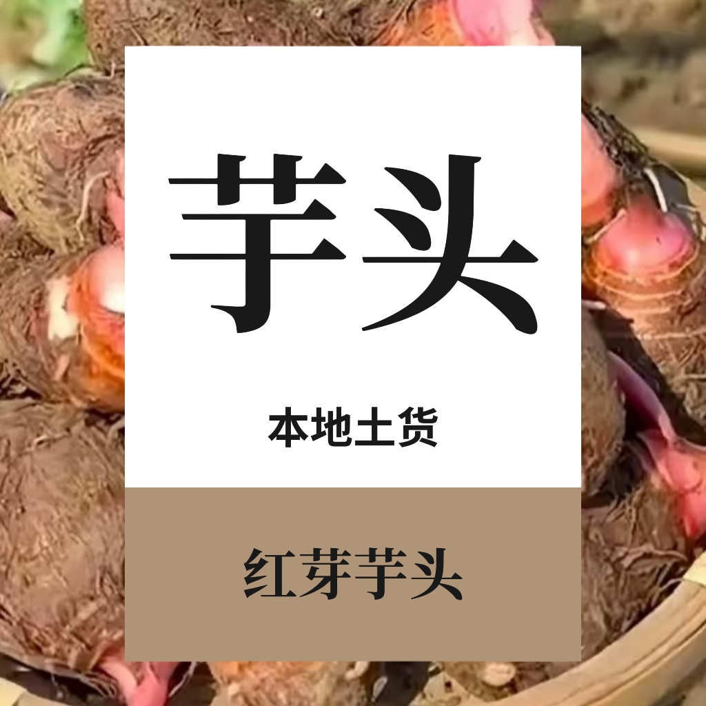 天等把荷/上映/红芽芋头/芋头/新鲜采摘/乡村助农