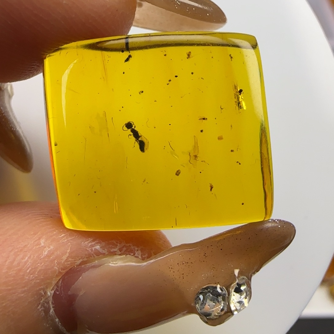 琥珀裸石未镶嵌蜂