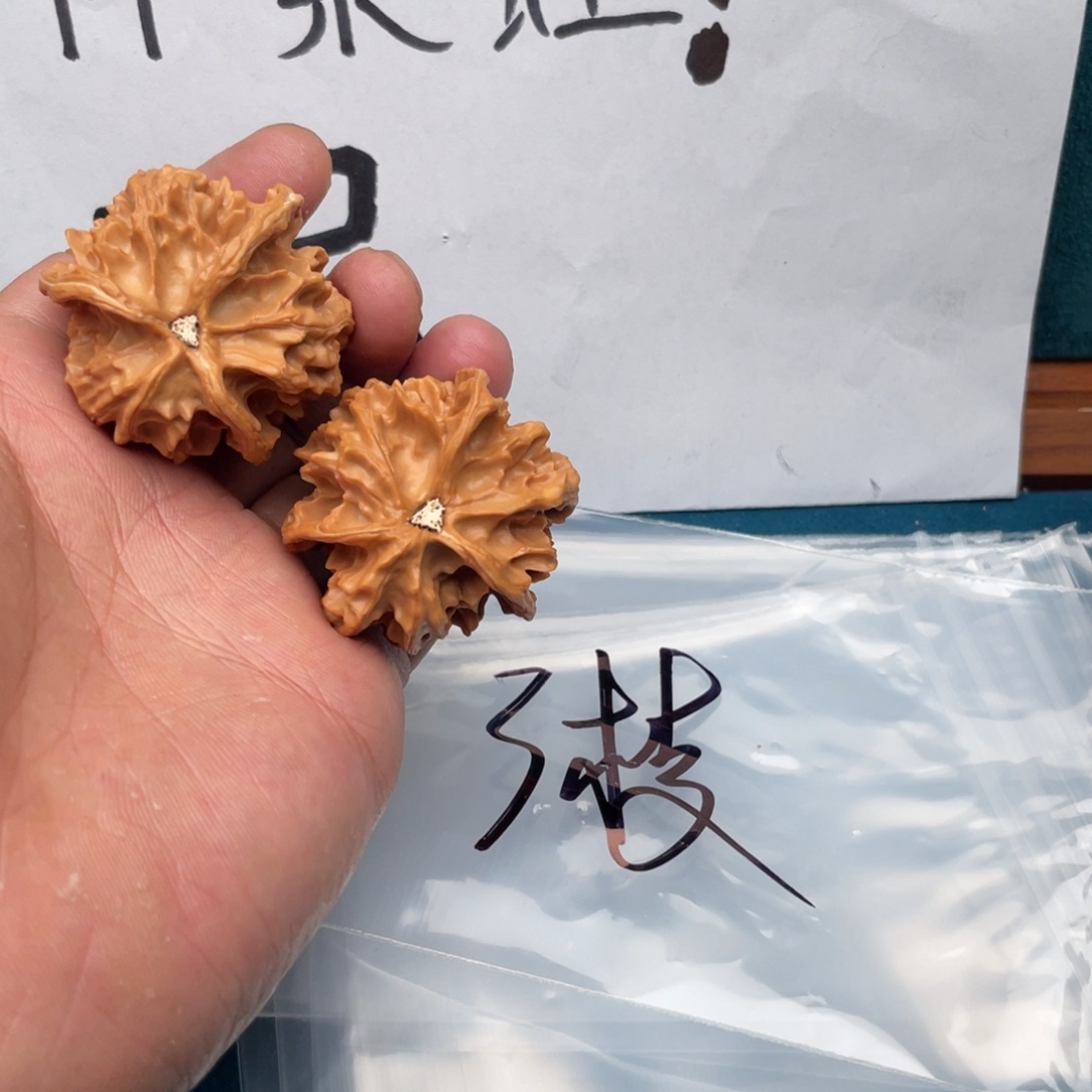 文玩核桃吊坠5.6753735735753735