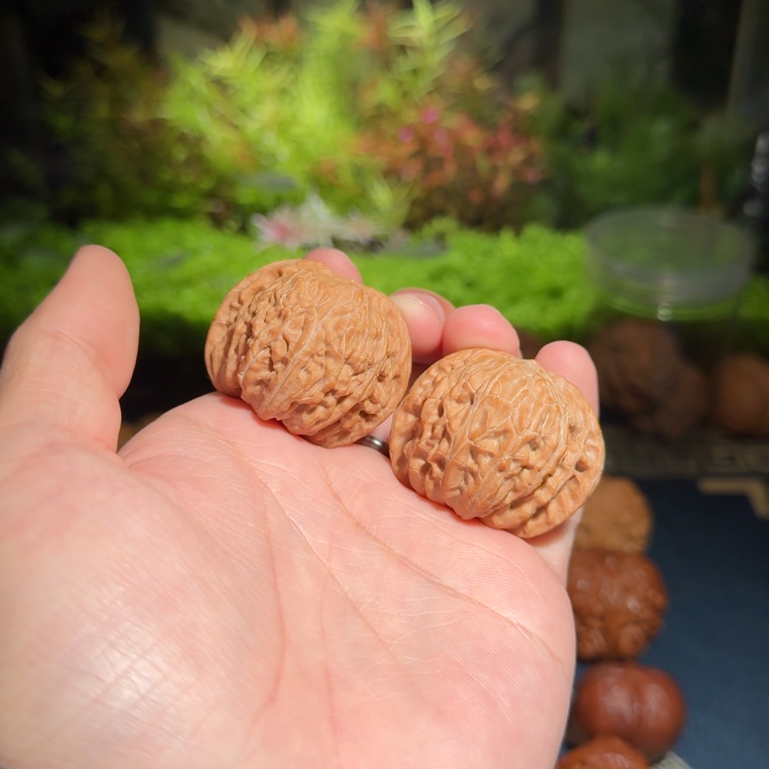 588号39磨盘狮子头文玩核桃