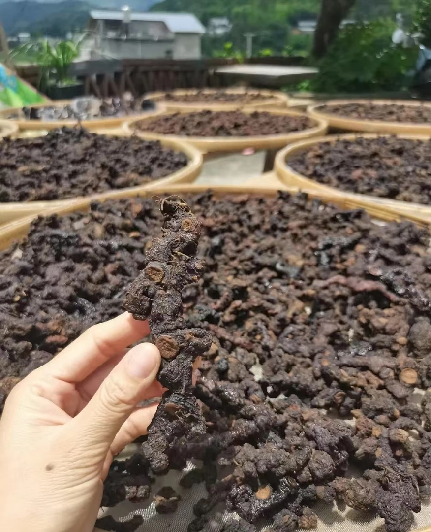 九蒸九晒老虎姜【煲汤、泡酒】