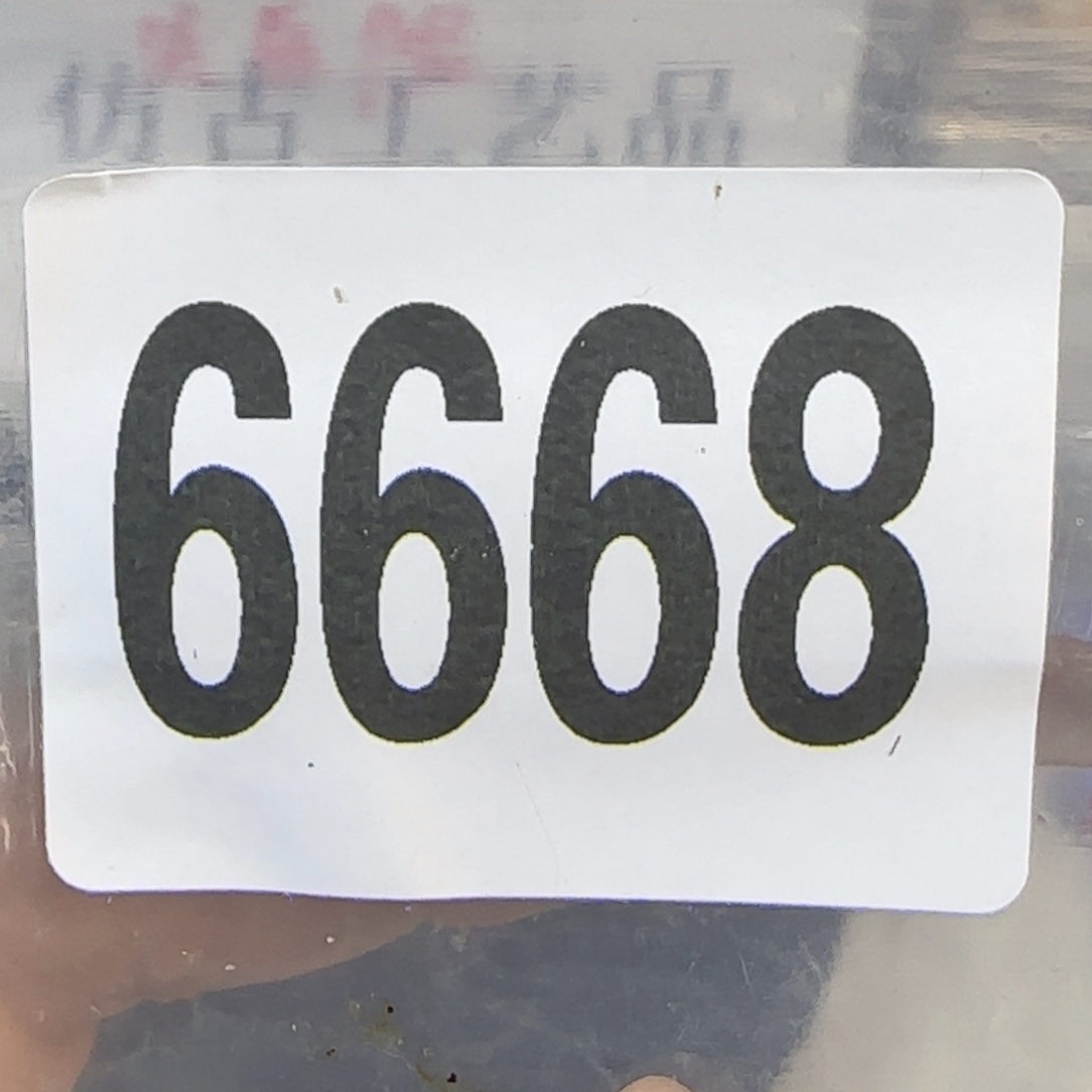 新号开播福利多多