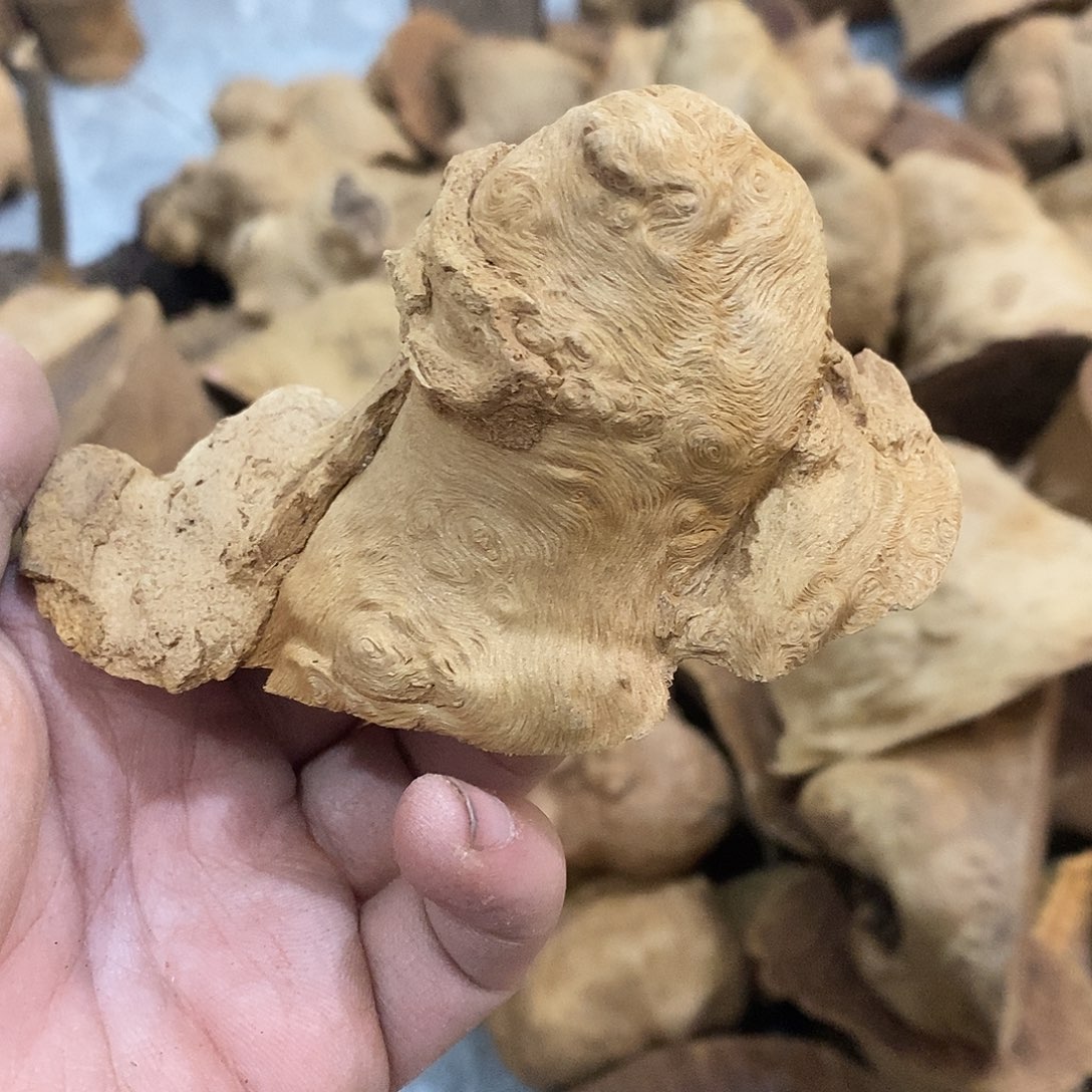 m***a荔枝木荔枝木原料