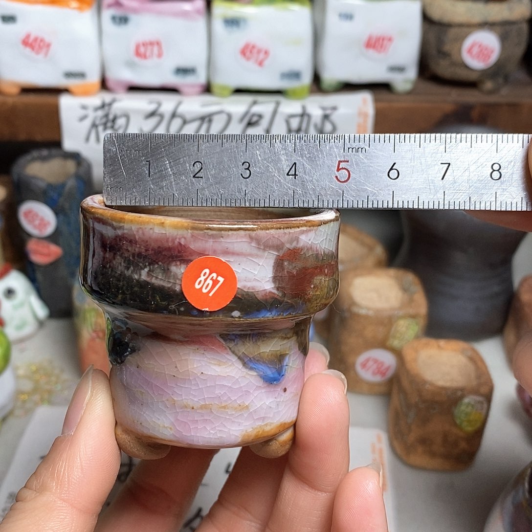 红陶拍5送一个小