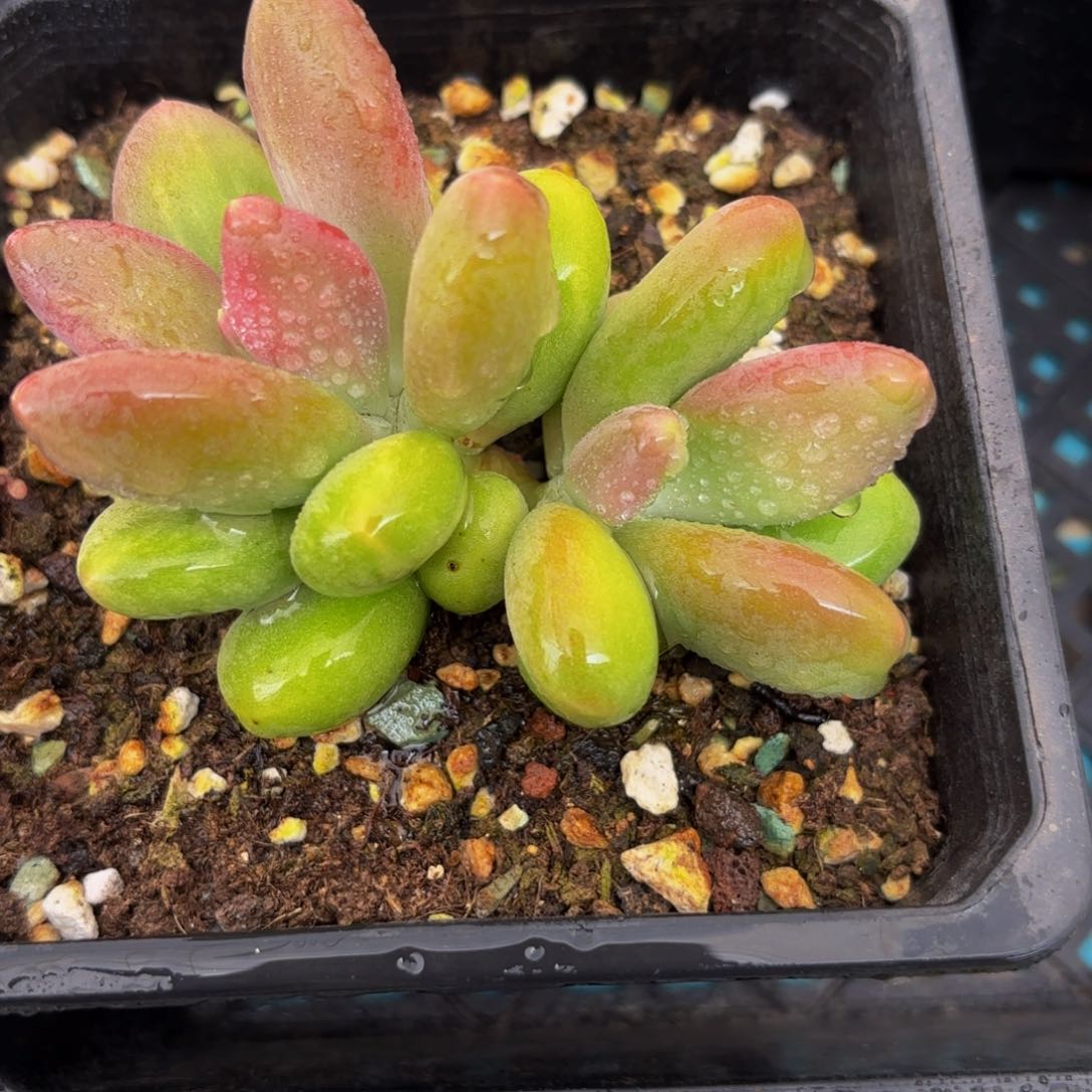 Nvbvbnknkj ljbjhvhnbb