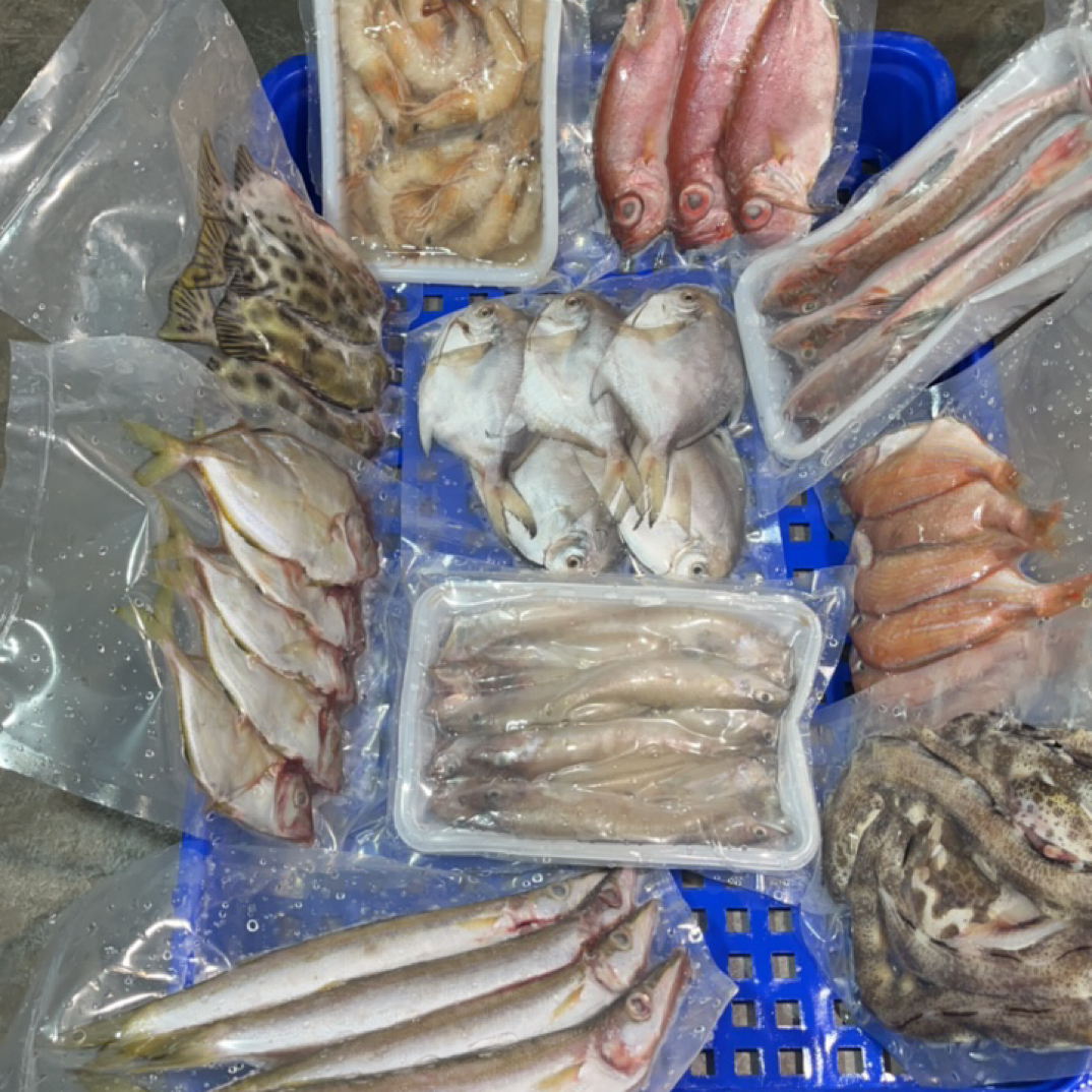 惠来县神泉本港直播间现搭套餐以直播间为准