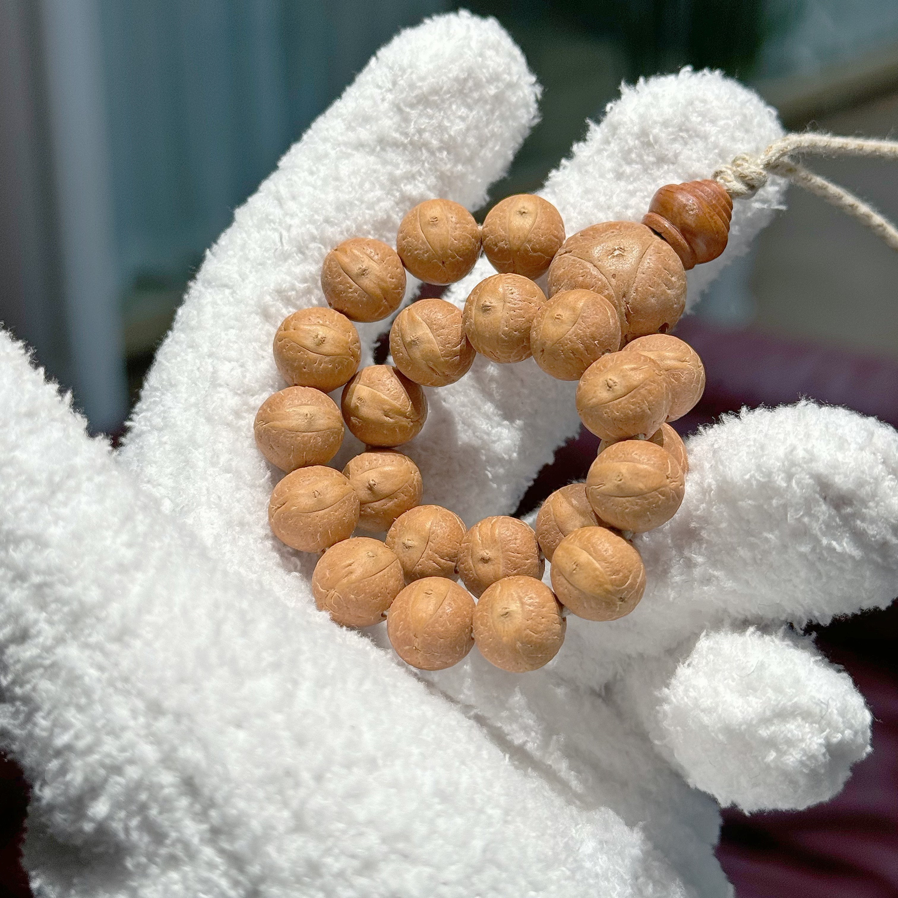 尼泊尔大眼萌同树凤眼 【S档】瑾绣瑞盈默白专属