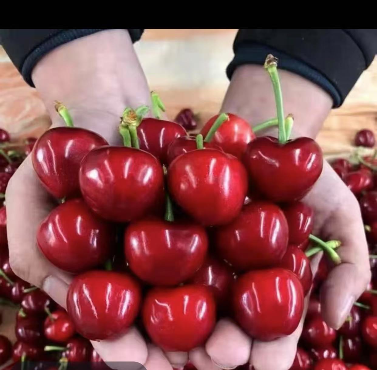 头茬美早脆甜JJ空运脆甜多汁带箱四斤饱满多汁 柿子