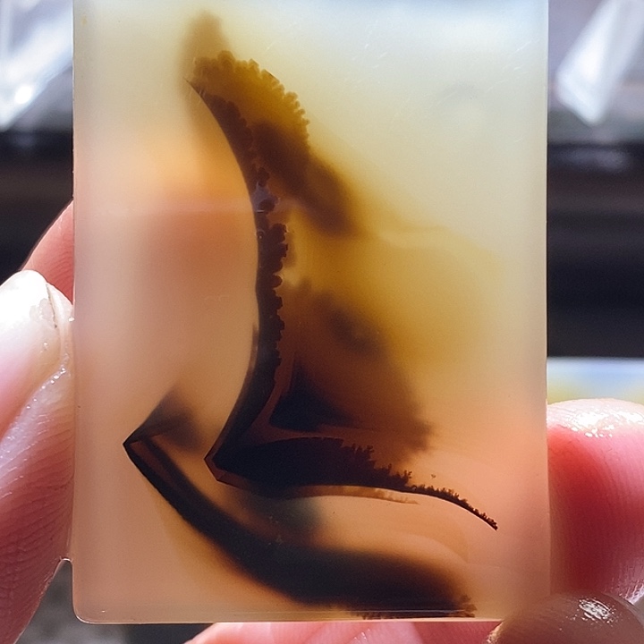 查罗石未镶嵌颈饰