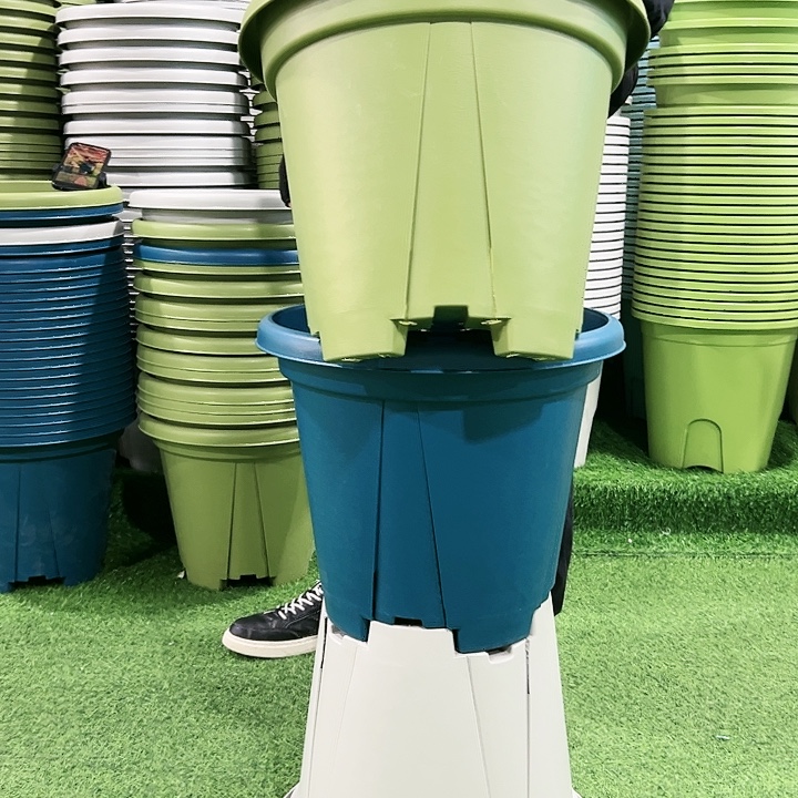 正品青山口40高35果绿色3个无托