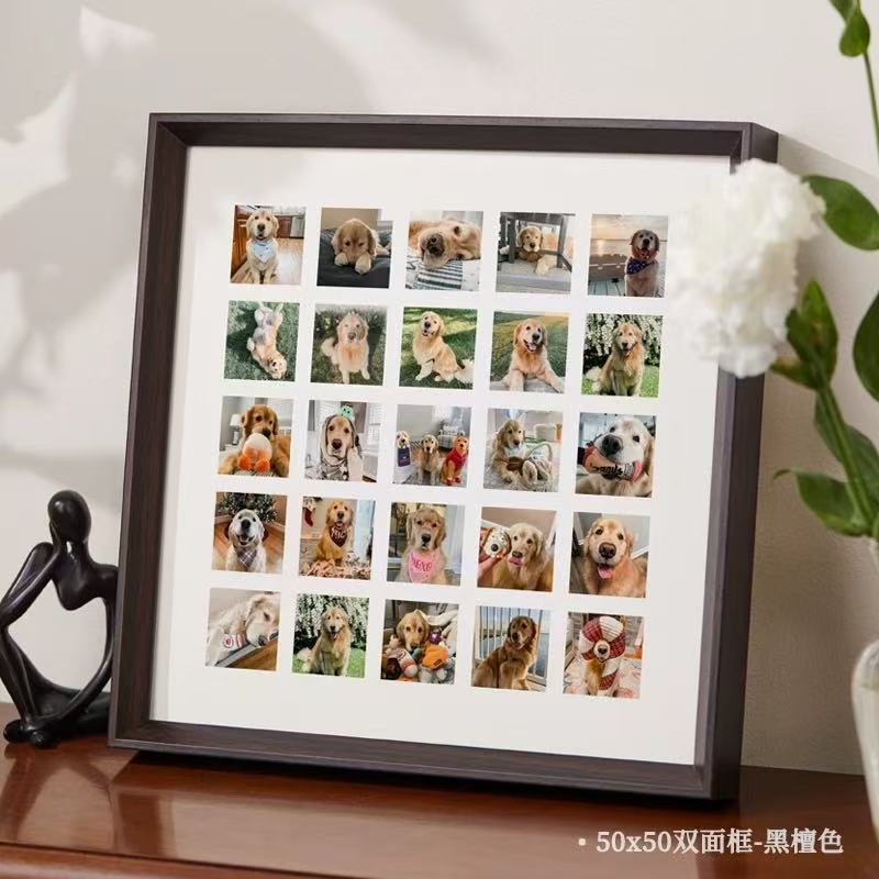 宠物相册记录美好生活