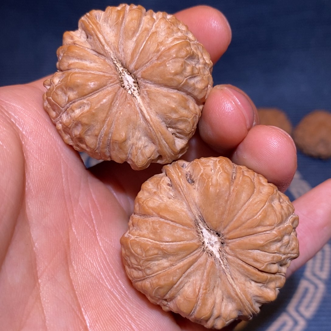 40尺 全品无修白茬 南瓜墩