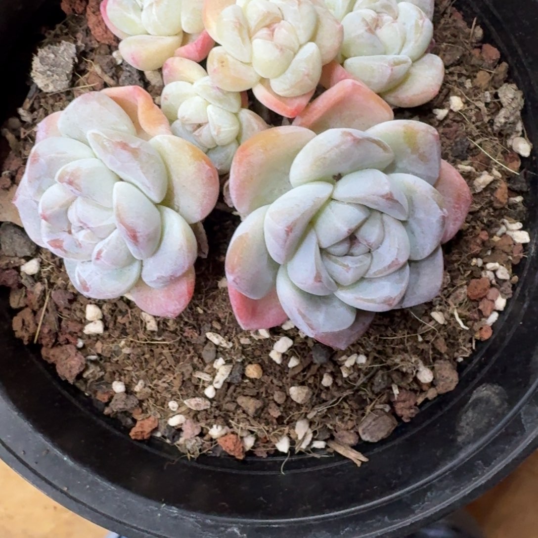 L***L哈哈哈哈哈哈哈哈哈哈