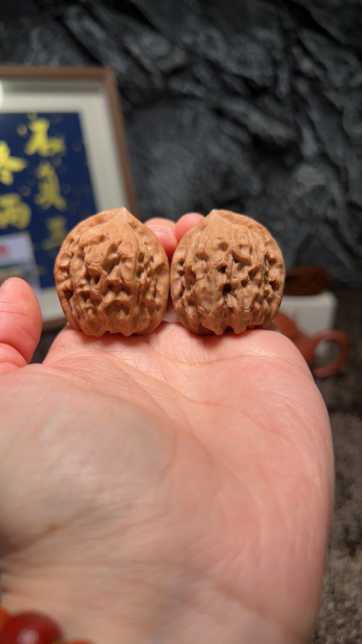 文玩核桃 原树赤兔4369号34.5尺寸