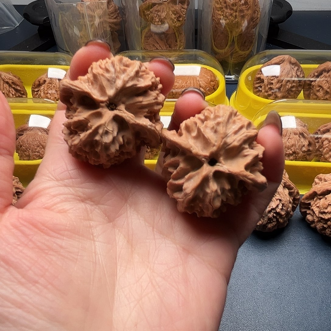 核桃39尺寸苹果园