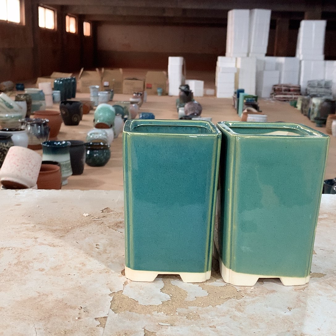 花盆啦啦啦啦啦啦啦