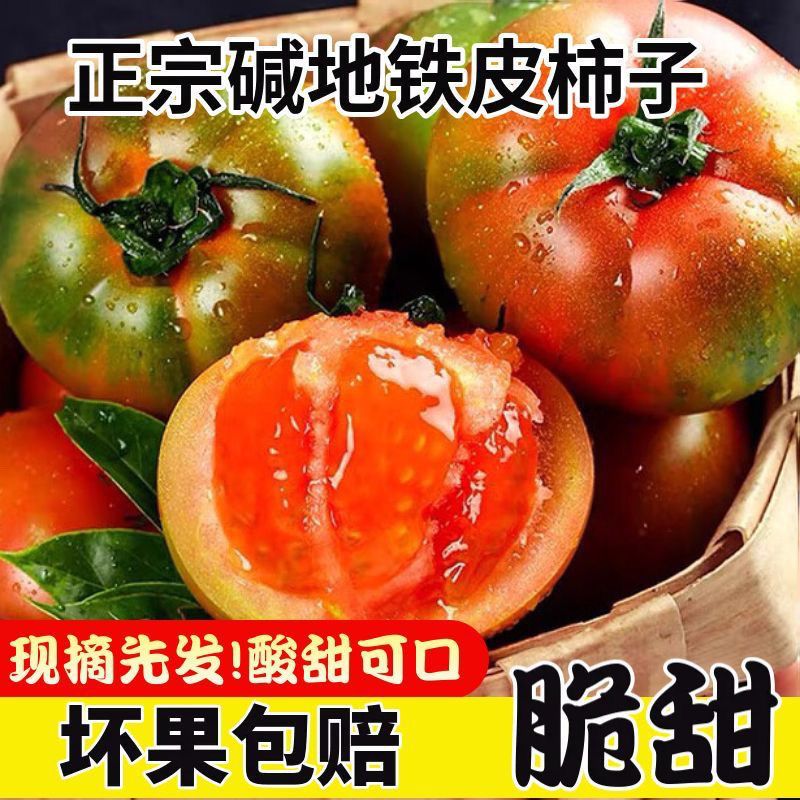 【金锦汇】北纬41° 正宗丹东水果铁皮草莓柿子 果园现摘现发 包邮