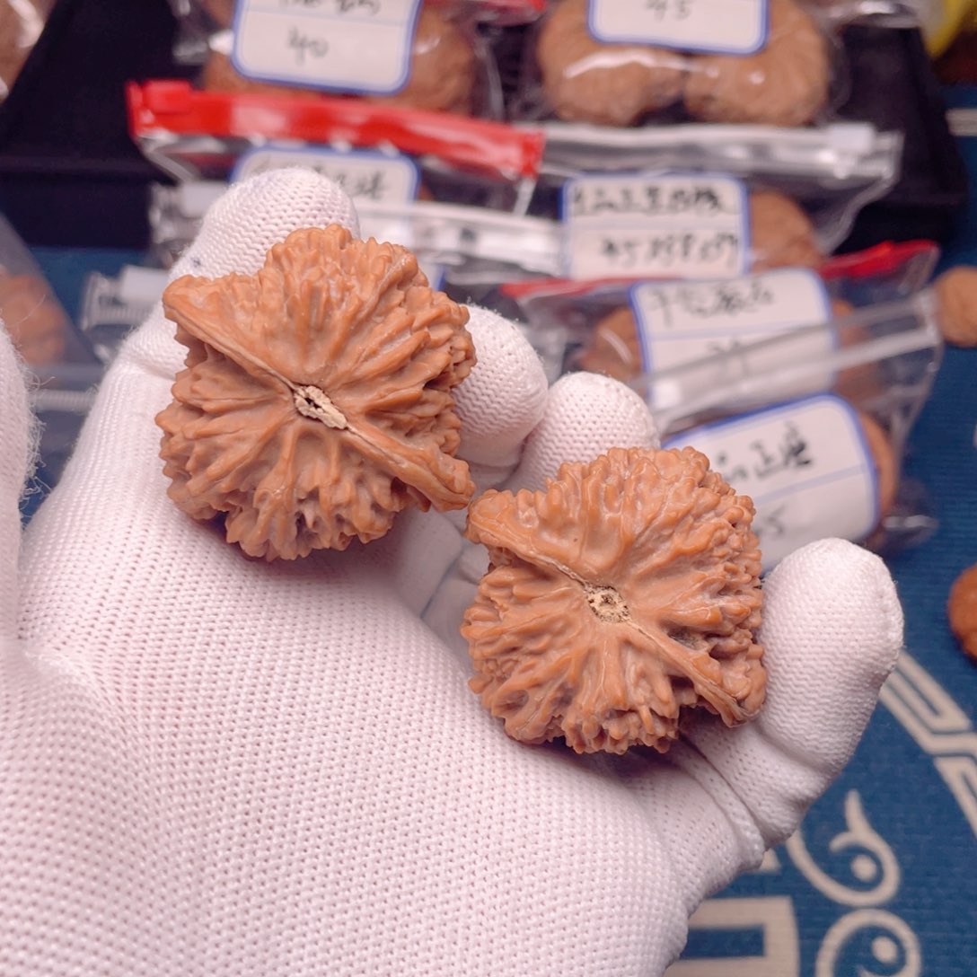 43全品满天星克重56！！！！！！！！！！