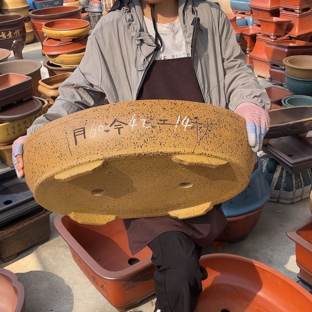 紫砂花盆盆景艺术