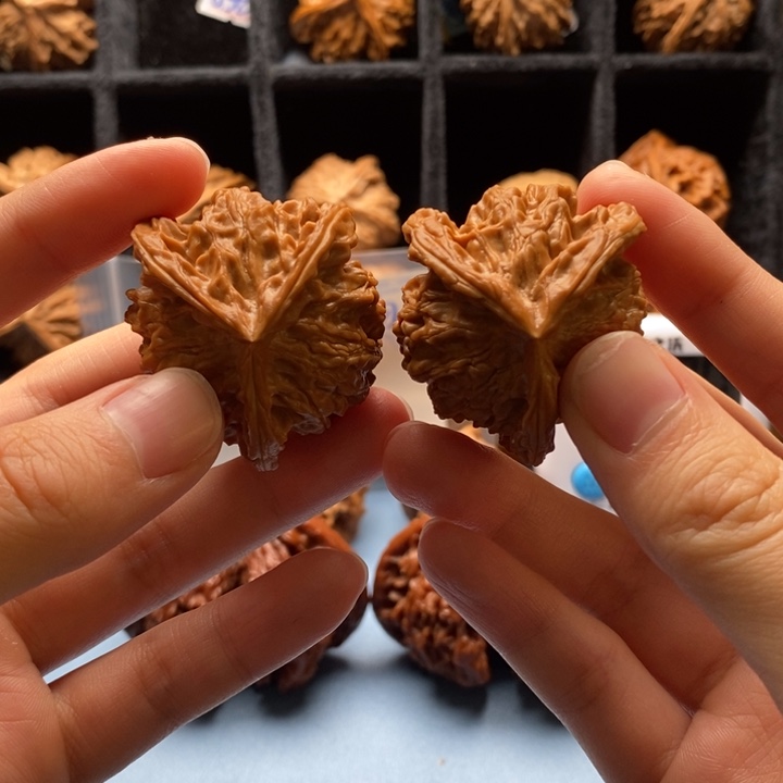 福***照核桃手串/手链盘山哈哈哈哈