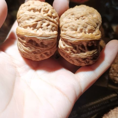 猴头核桃吊坠46元宝