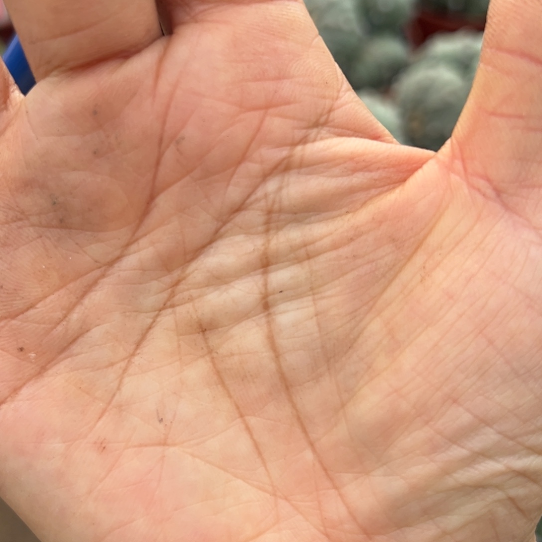 *****68余额 零零落落 零零落落