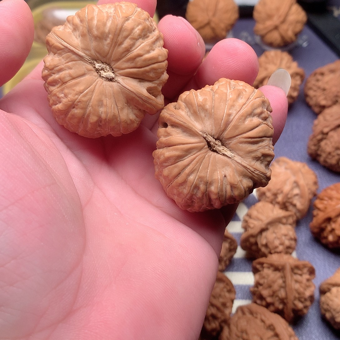 萨***赫文玩核桃把件核桃